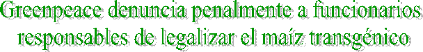 Greenpeace denuncia penalmente a funcionarios   responsables de legalizar el ma&iacute;z transg&eacute;nico