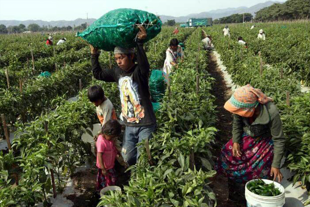 SALAGAADOYSA03102025